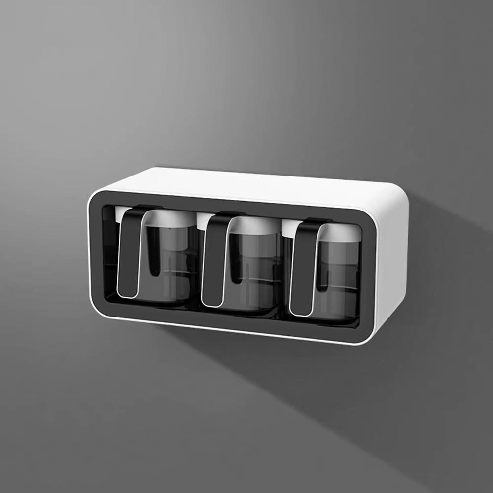Premium Wall-Mounted Spice Organiser